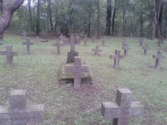 Modlin Fortress Cemetery景点图片