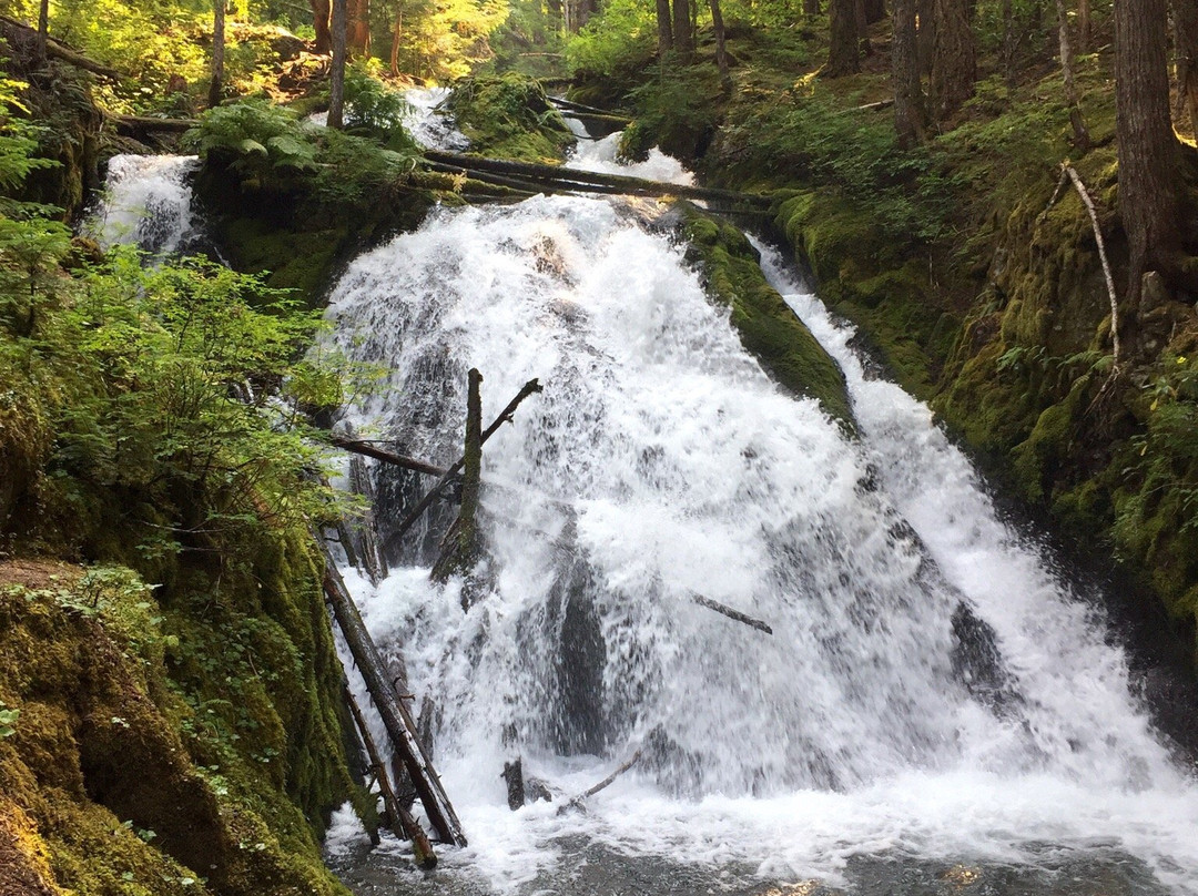 Little Zigzag Falls-Government Camp必去景点