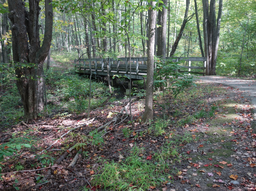 Beartown Lakes Reservation景点图片