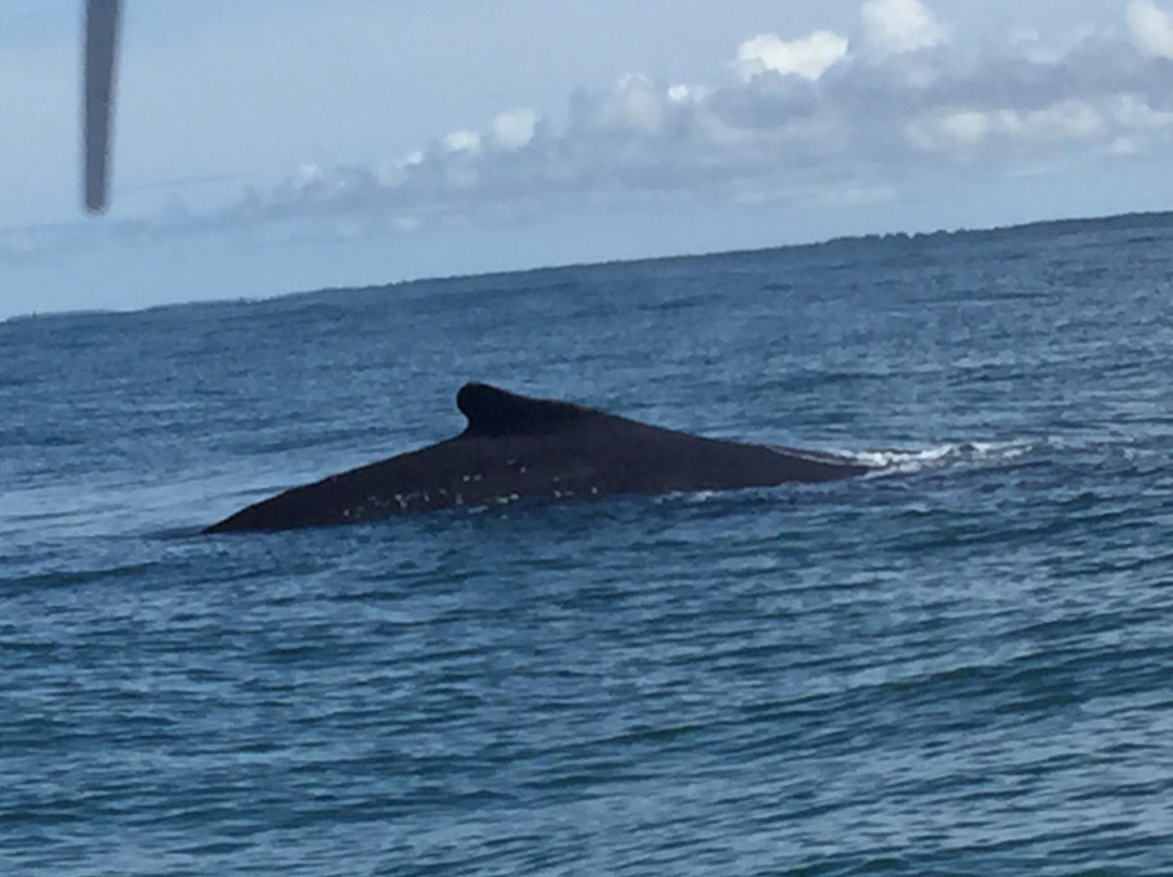 Hotel Bahia Del Sol Ladrilleros主图