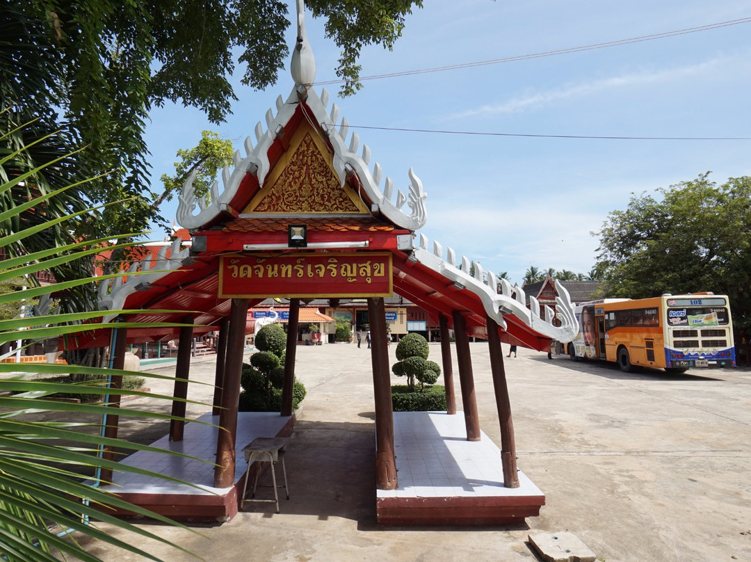 Wat Chan Charoensuk景点图片
