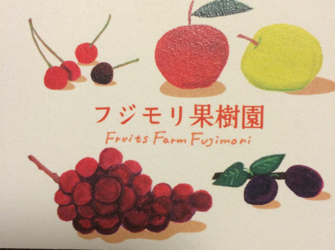 Fujimori Orchards-壮瞥町必去景点