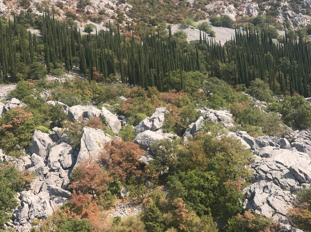 Adeo Travel景点图片