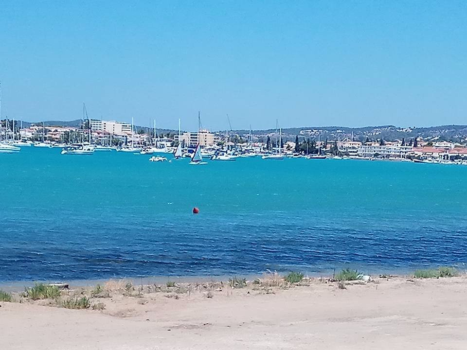 Artemida旅游攻略图片