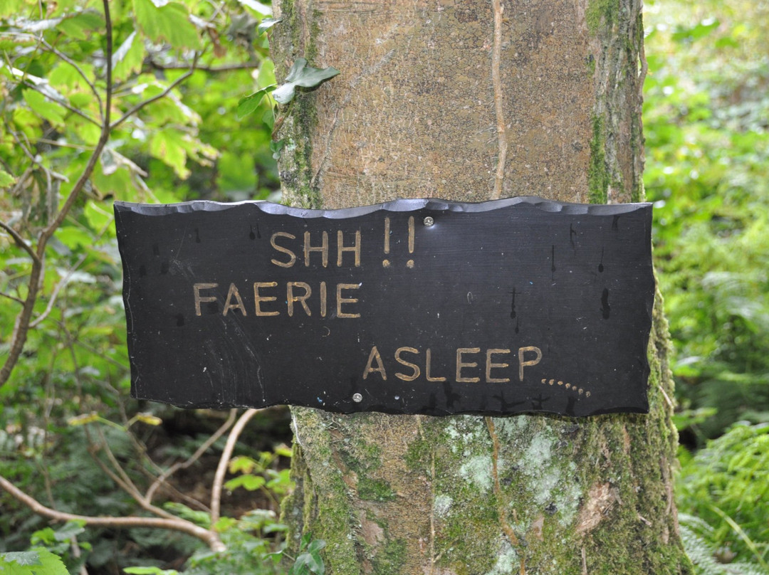 Woodland Faerie Trail景点图片