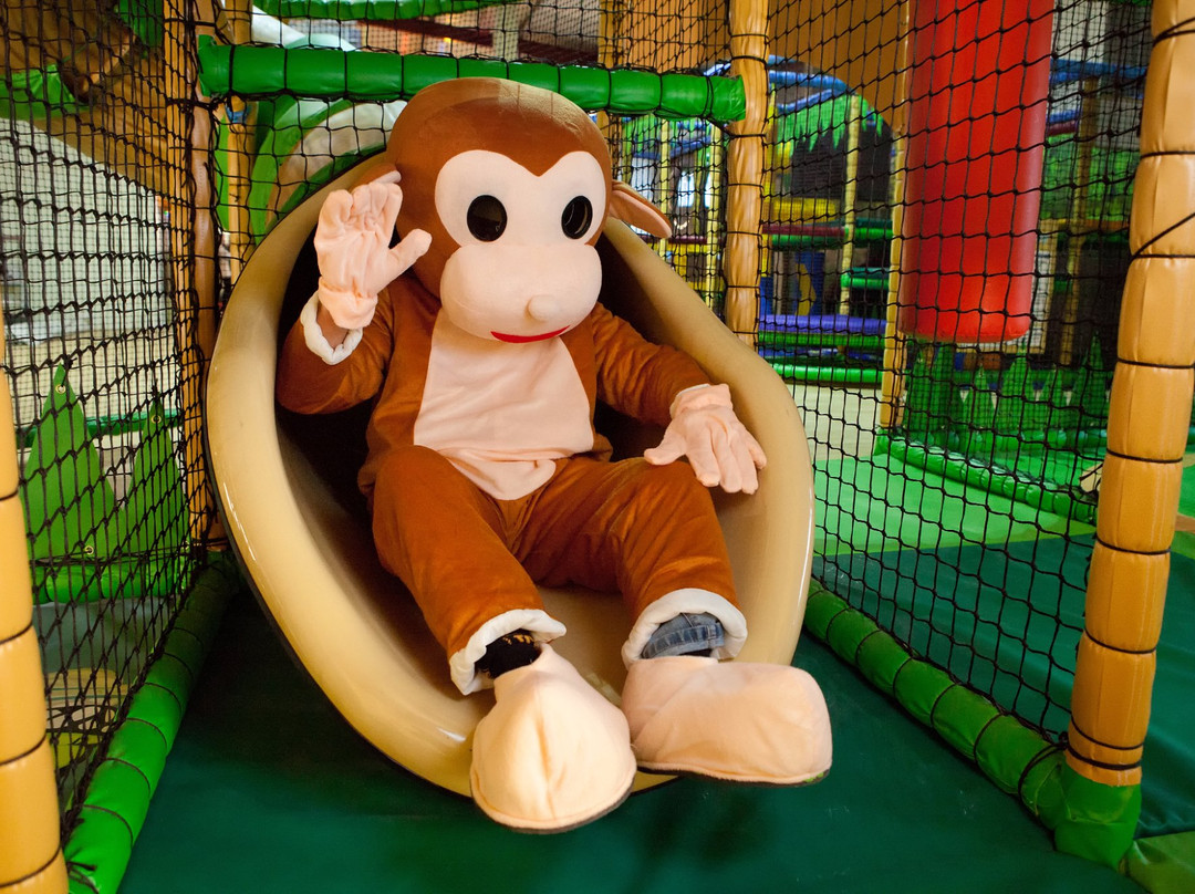 Jungle Jack's-纽奎必去景点