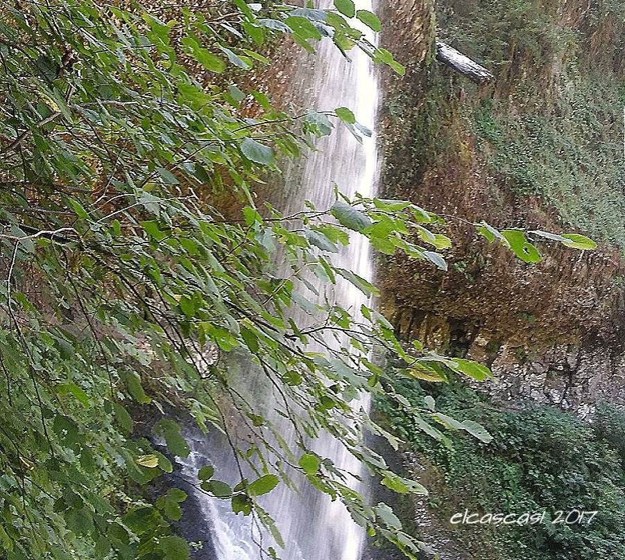 Silver Falls State Park-Drake Crossing必去景点