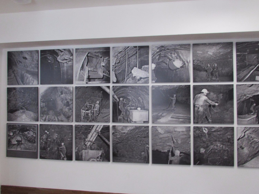 Museo della Tradizione Mineraria景点图片