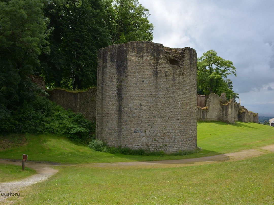Chateau de Pouzauges景点图片