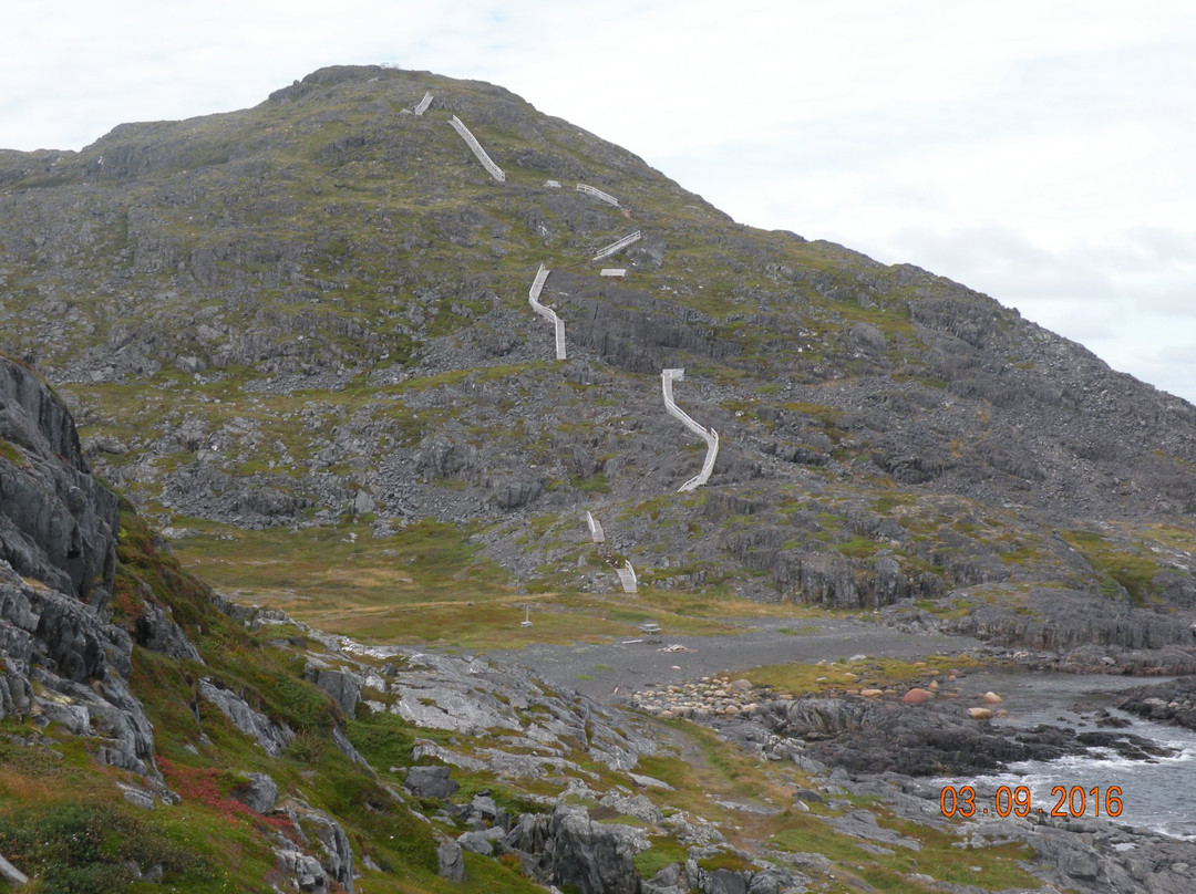 Fogo Head Trail景点图片