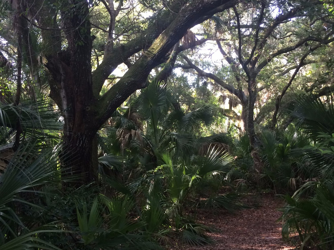 Oak Hammock Park-圣露西港必去景点
