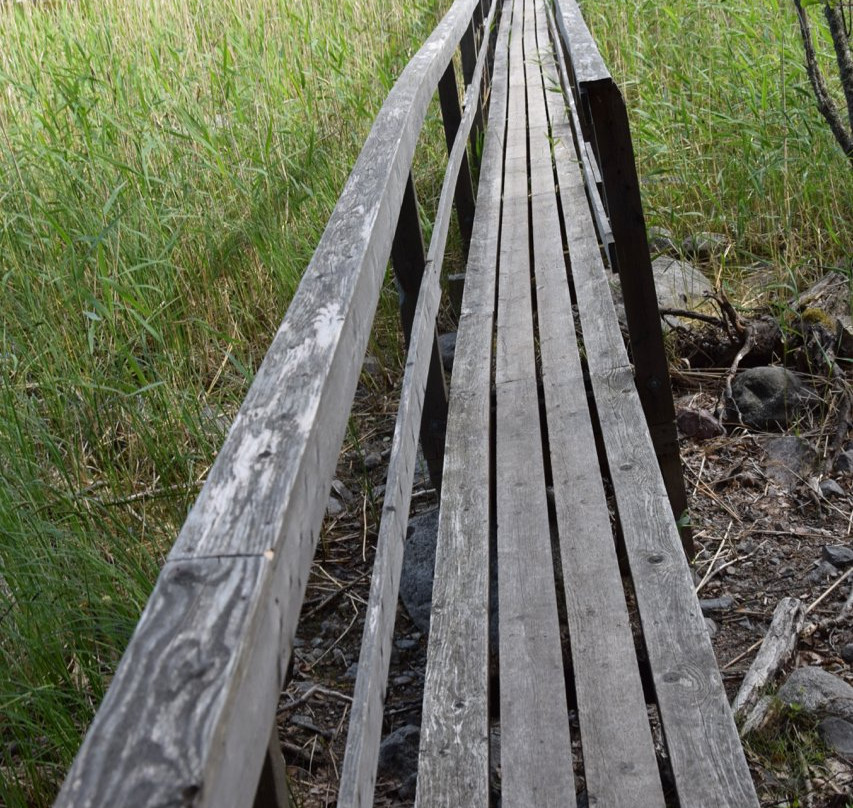 Malonsaari Island-Imatra必去景点