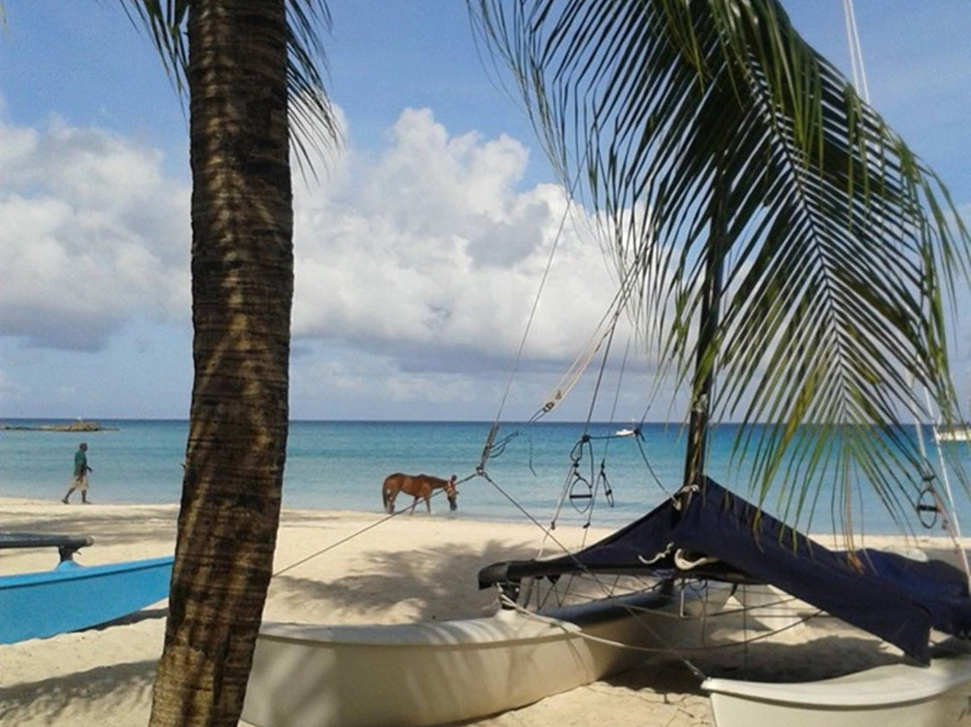 All Stars Exclusive Taxi Service-奥伊斯廷斯必去景点