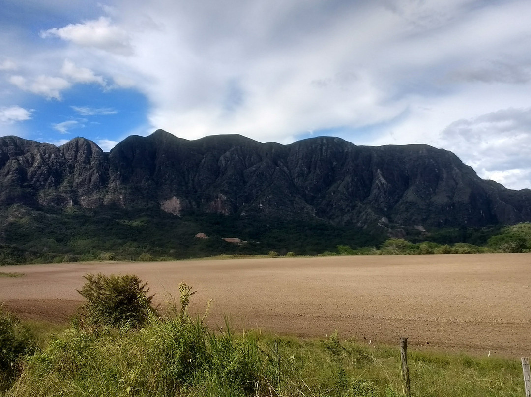 La Plata旅游攻略图片