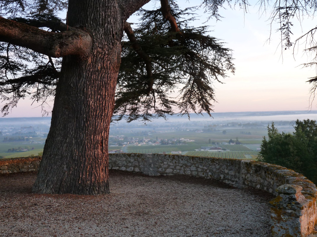 Chateau Ladesvignes景点图片