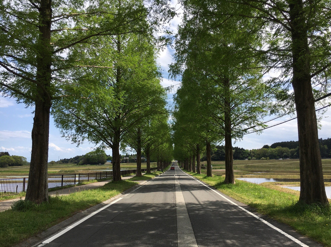 Makino Highland-高岛市必去景点
