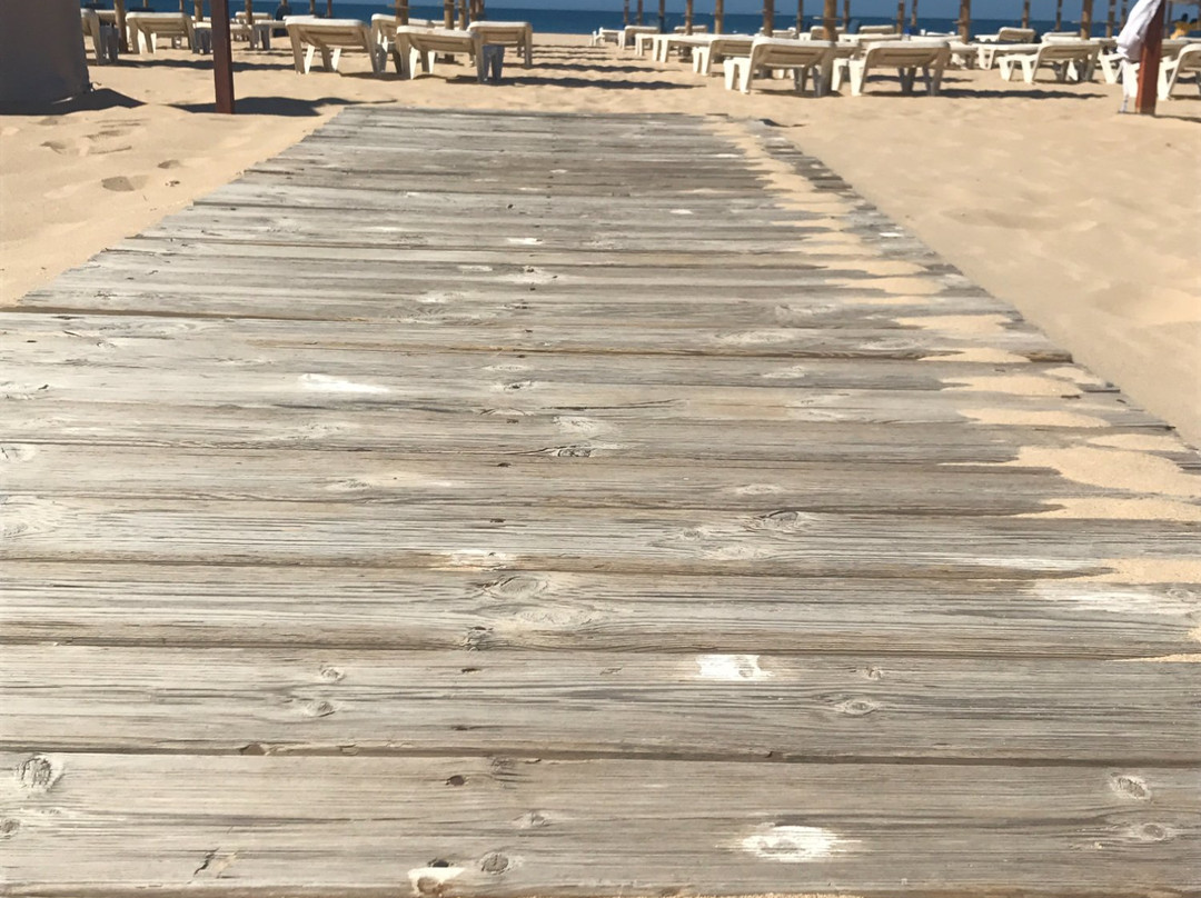 Paradis Plage Portimao-波尔蒂芒必去景点