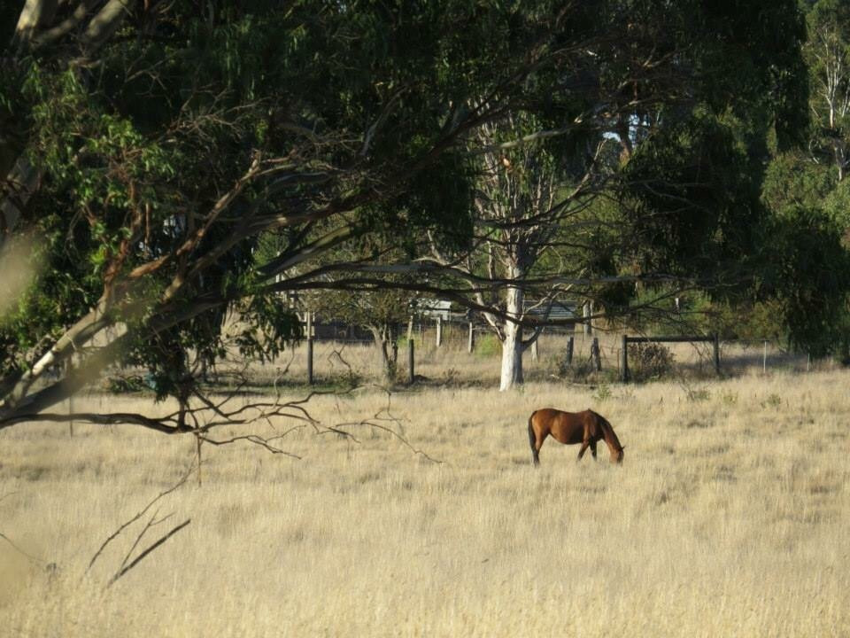 Upper Coliban Reservoir-Tylden必去景点