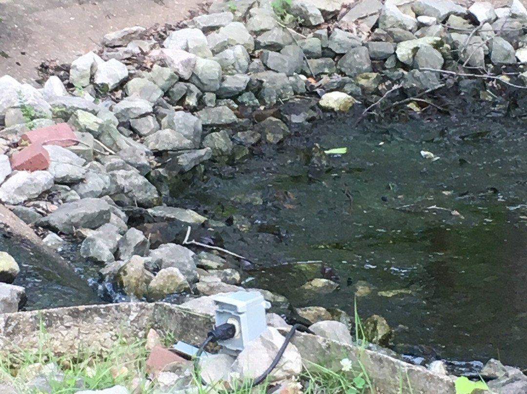 Casey Jones Mini Golf-Jackson必去景点