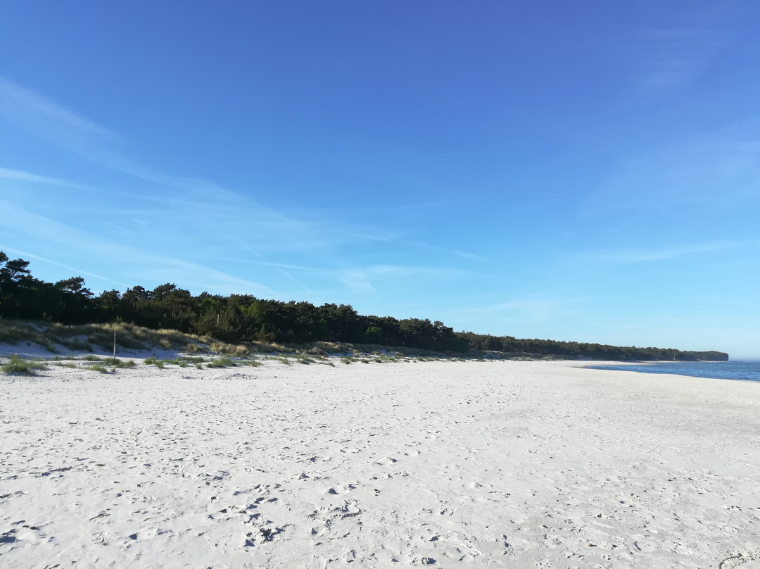 Dueodde Beach景点图片