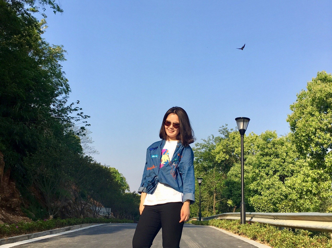 平湖九龙山国家森林公园-平湖市必去景点