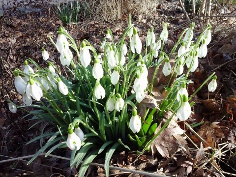克里斯汀酒店-浴室