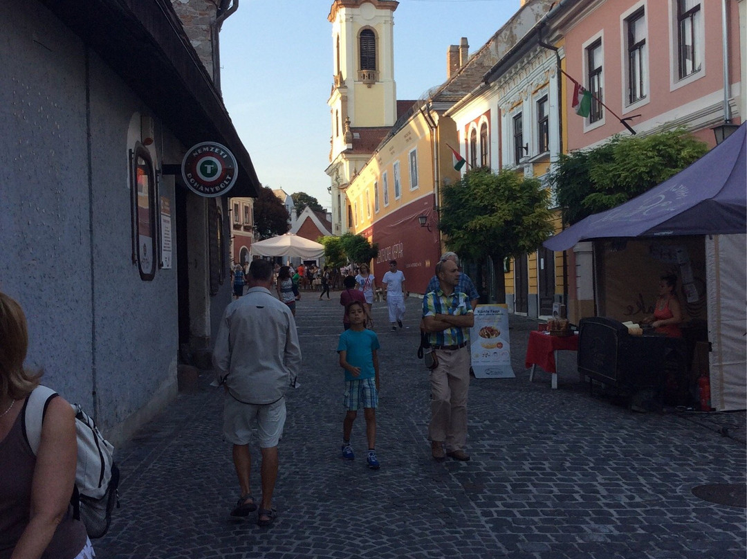 Szentendre Aquarium and Terrarium House景点图片