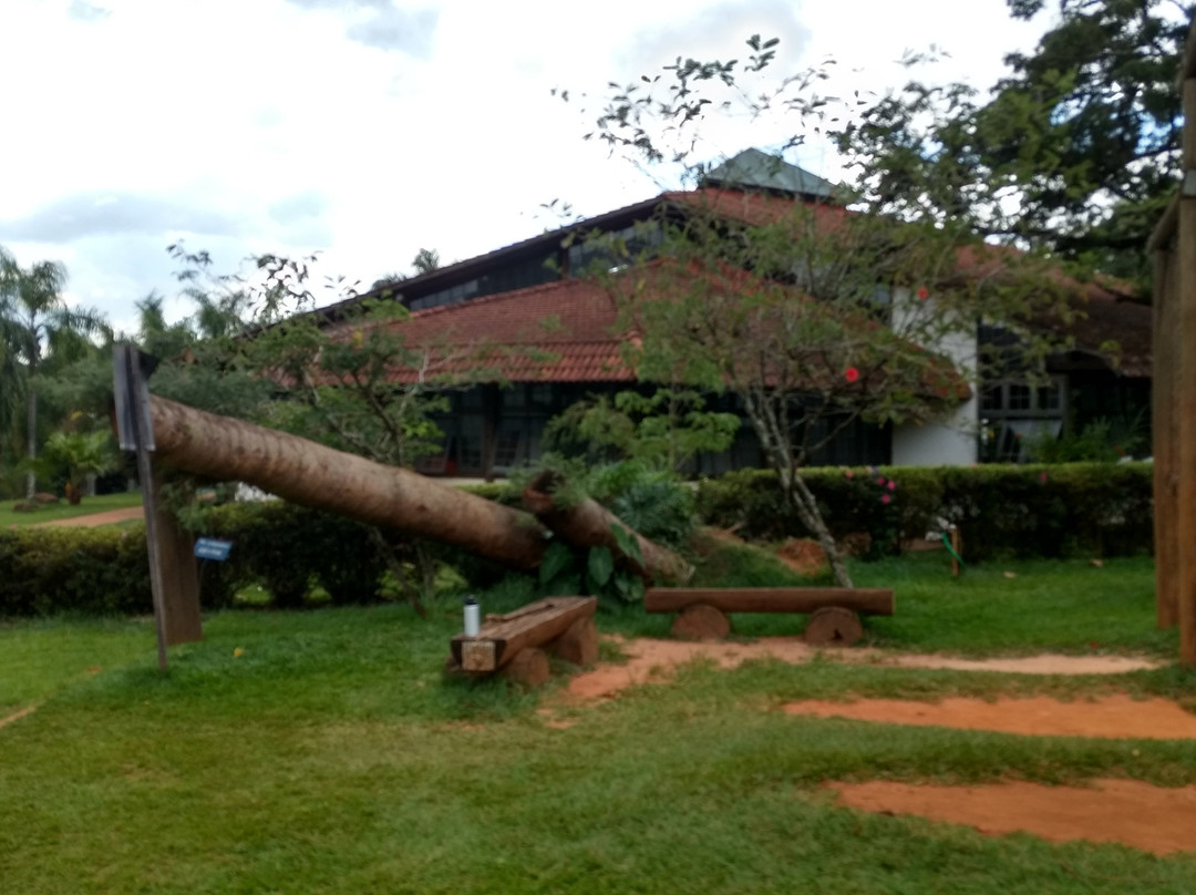 Parque Municipal Victório Siquierolli-乌贝兰迪亚必去景点