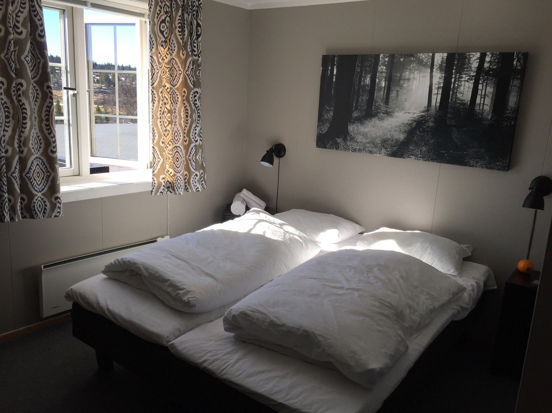 Valdres Fjellhotell, Hovda主图
