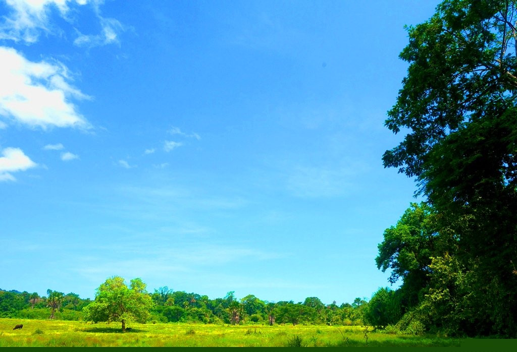 Sadengan Savannah-巴纽旺宣必去景点