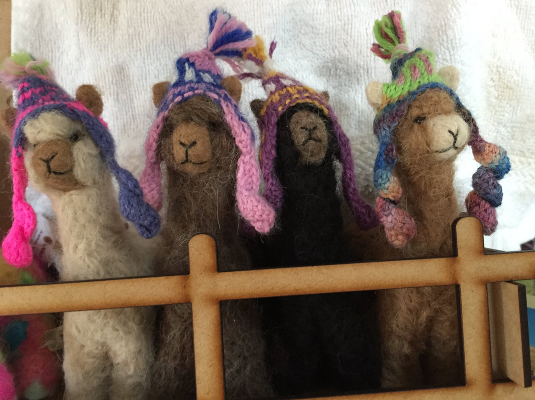 Faraway Farm Alpacas景点图片