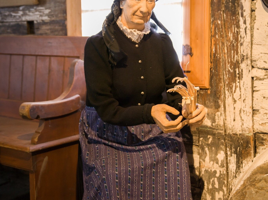 Casa-Museo Angiul Sai景点图片
