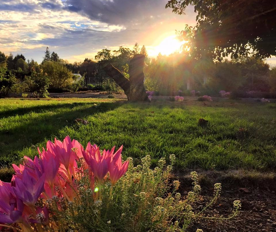 Wandering Gardens