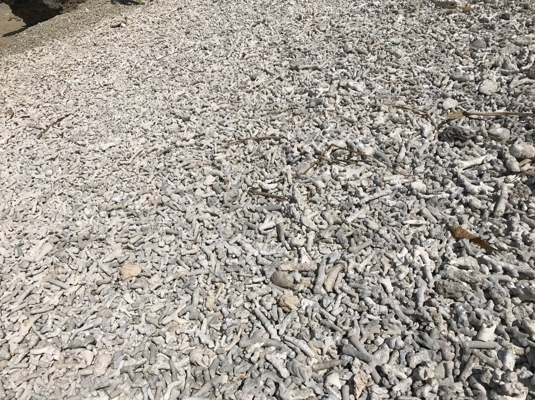 MInshuku Agatamura主图