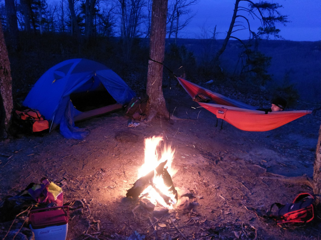 Auxier Ridge Trail #204-Slade必去景点