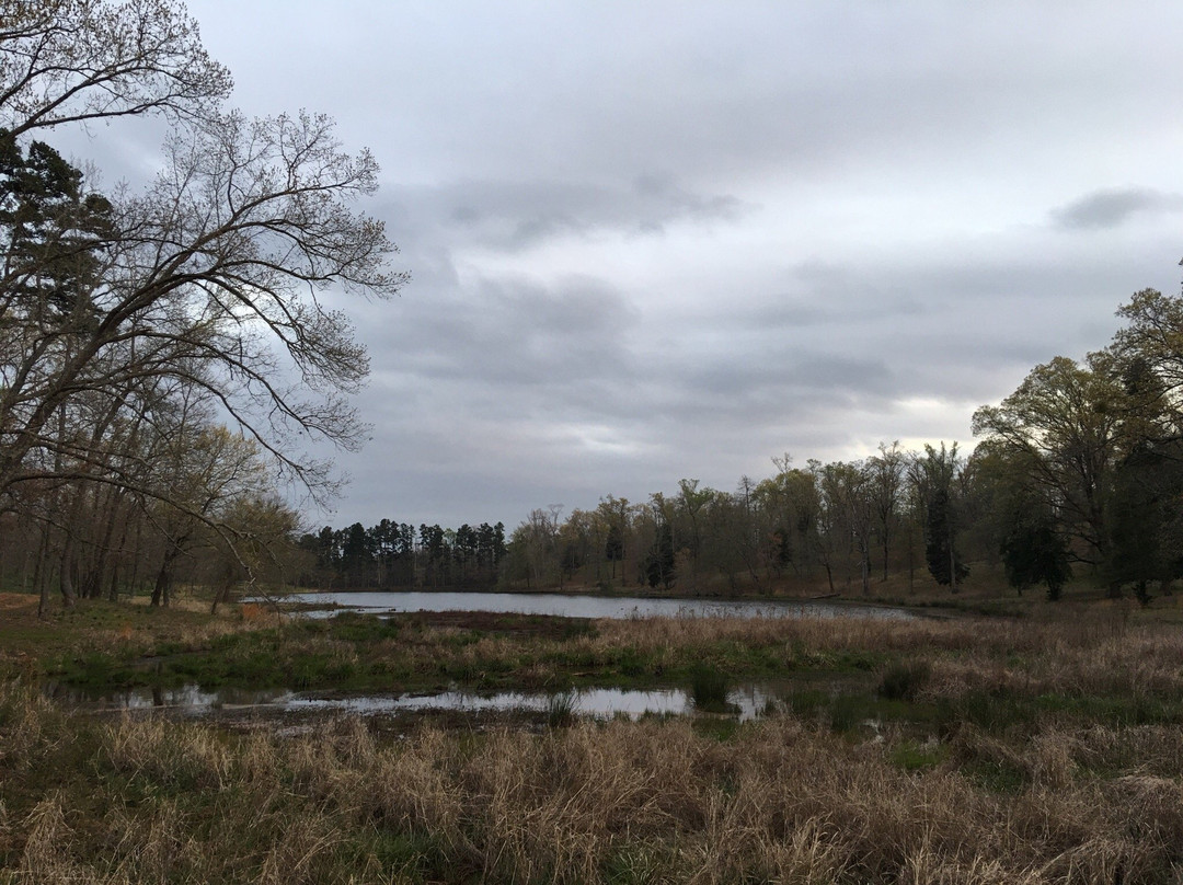 Mrs. Lee's Daffodil Garden-Gladewater必去景点