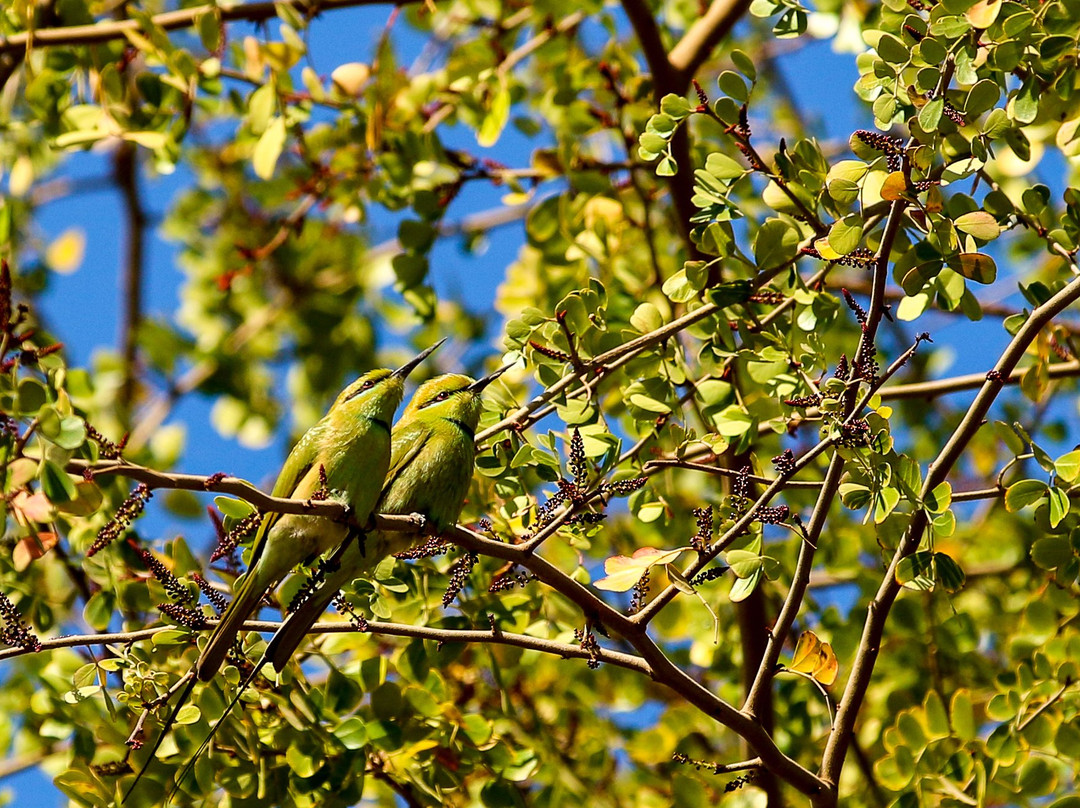 Travel Egypt Inc-开罗必去景点
