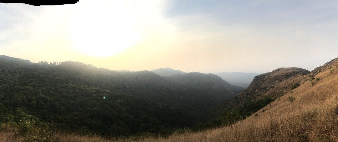 Kemmangundi Peak景点图片