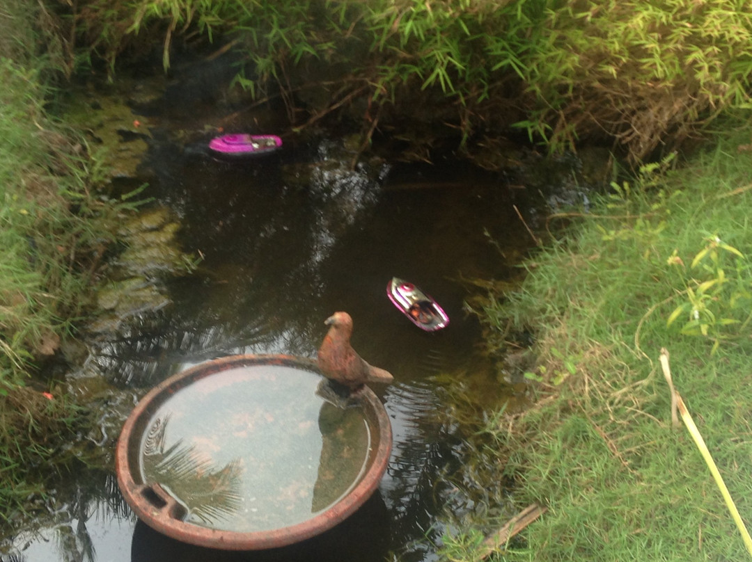 Sukumara Homestay主图