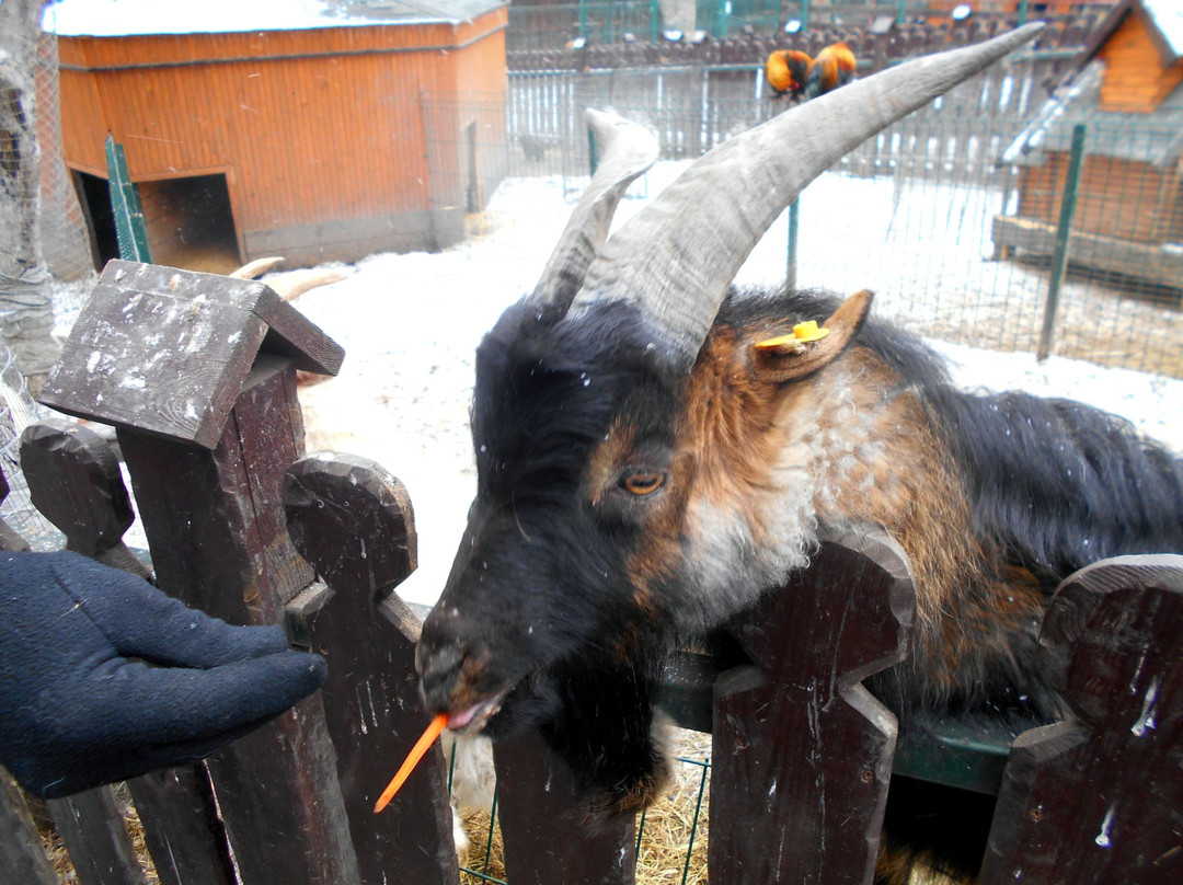 Park Rodnik Zoo-Pyatigorsk必去景点