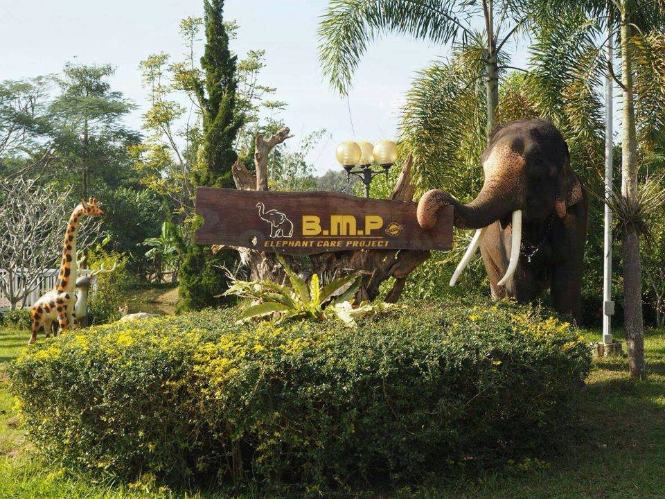 Elephant Care Project景点图片