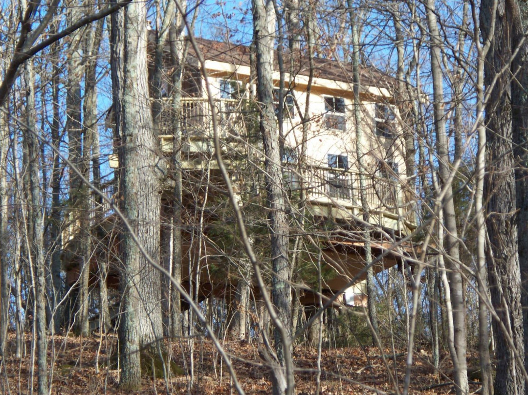 EarthJoy TreeHouse Adventures-Brooksville必去景点