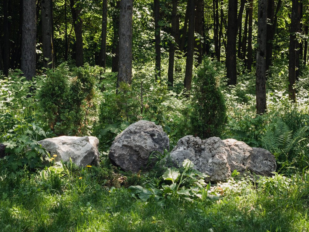 Bashkortostan Forester's Park景点图片