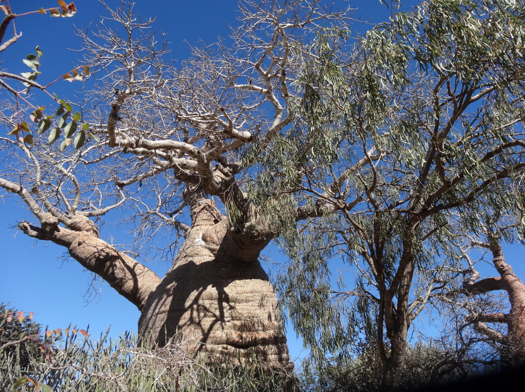 Parc National de Tsimanampetsotsa景点图片