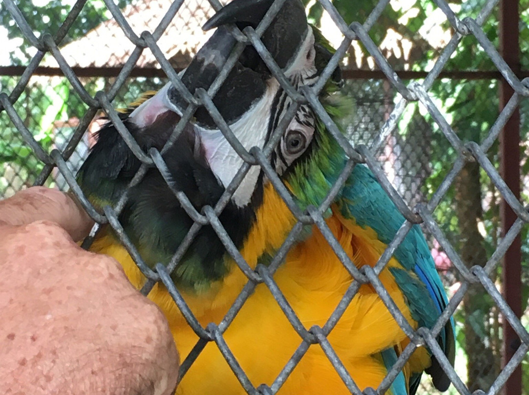 Phuket Bird Paradise-查龙必去景点