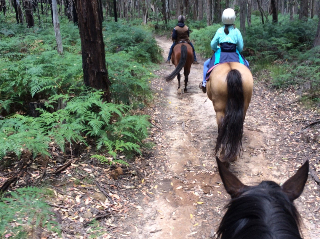 Hepburn Lagoon - Trail Rides-Hepburn Springs必去景点