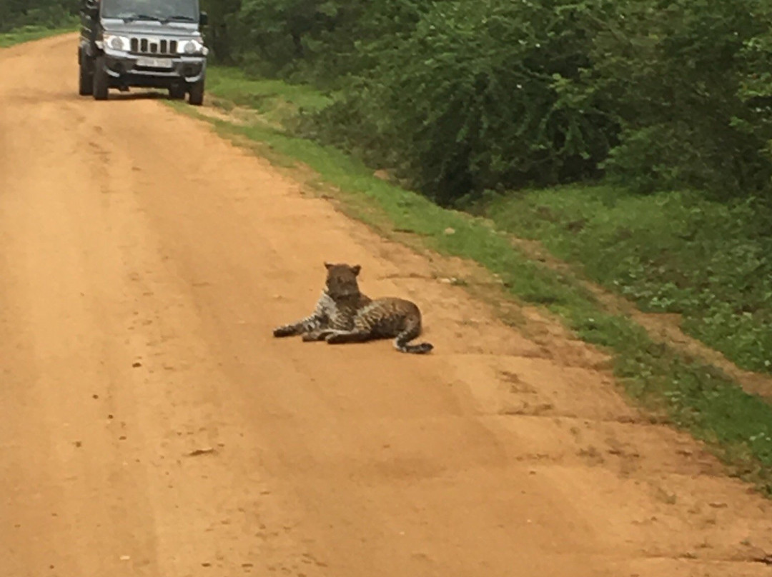Hema Safari-蒂瑟默哈拉默必去景点