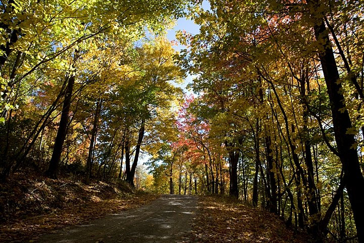 Greenbrier County Convention & Visitors Bureau-Lewisburg必去景点