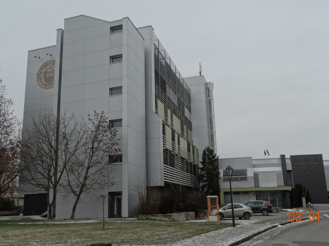 The University of Trnava景点图片