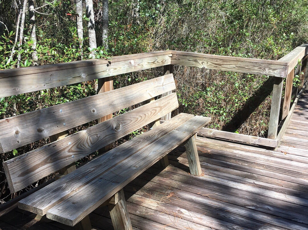 Cary State Forest-Bryceville必去景点